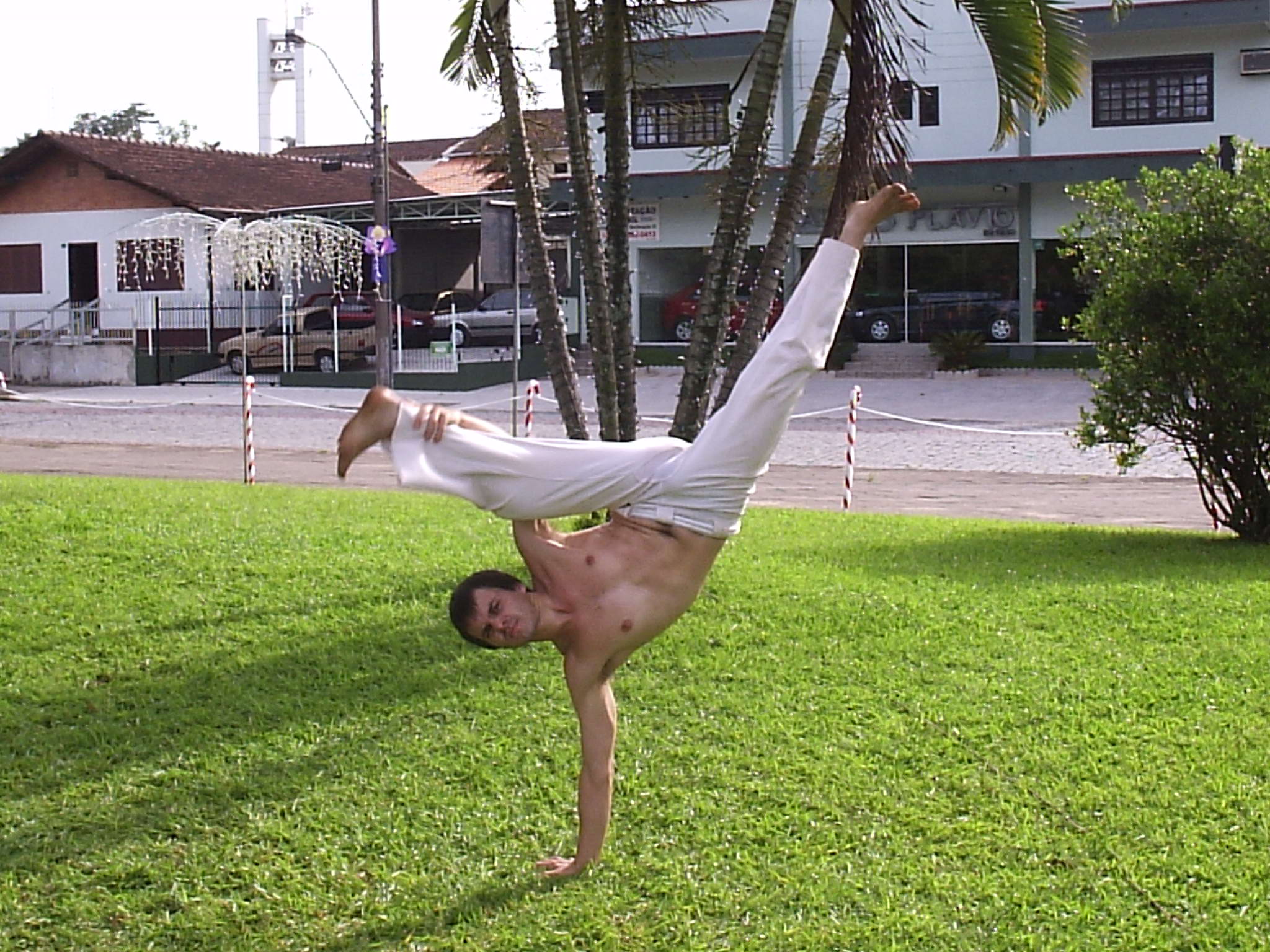 Imagem - Capoeira